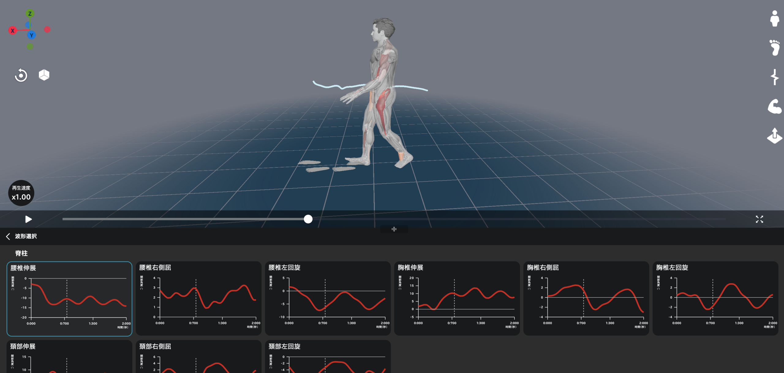 歩行の動作分析してみた - メディア - MYoACT（マイオアクト）